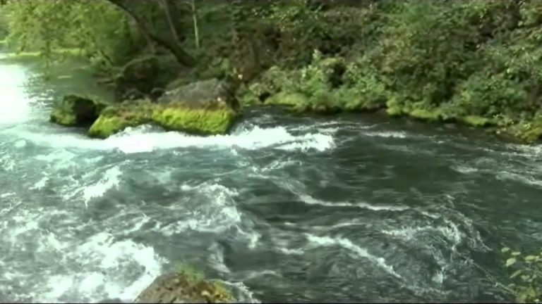 The Waters of Mormon