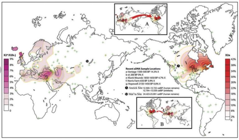 Rediscovering the BOM Remnant Through DNA