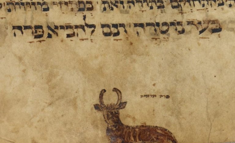 The Law of the Red Heifer: A Type and Shadow of Jesus Christ