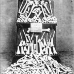 bones1