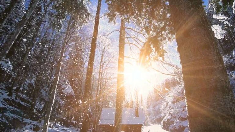 Why do we celebrate Christmas on December 25?