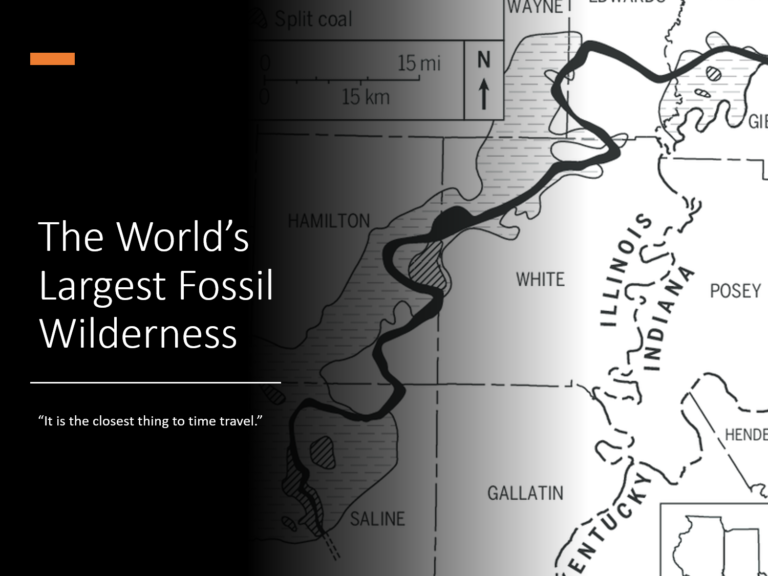 The World’s Largest Fossil Wilderness