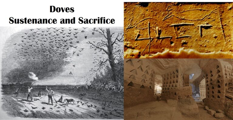 Pigeons connect Jerusalem with Ohio Earthworks- Sustenance and Sacrifice