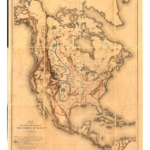 bison map1