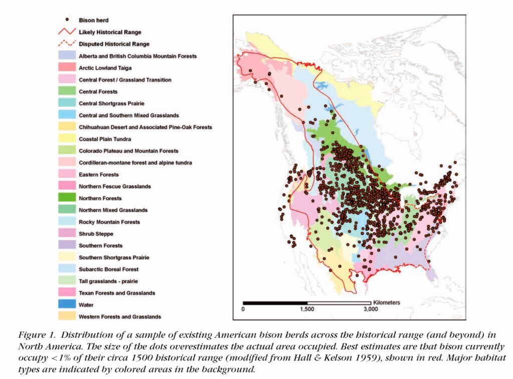 “Follow the Course of the Beasts” (Bison) - Book of Mormon Evidence