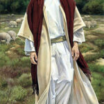 christ sheep