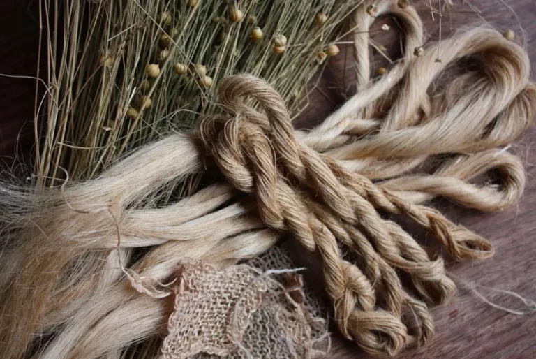 Flax and Fine Twined Linen in the Book of Mormon