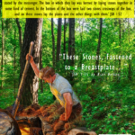these stones book back cover
