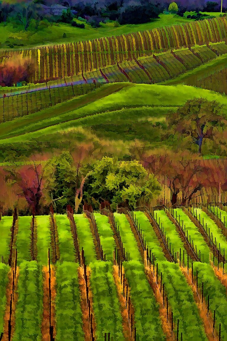 No Wine in Mesoamerica/No Law of Moses