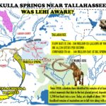 maps wakulla