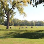 mounds