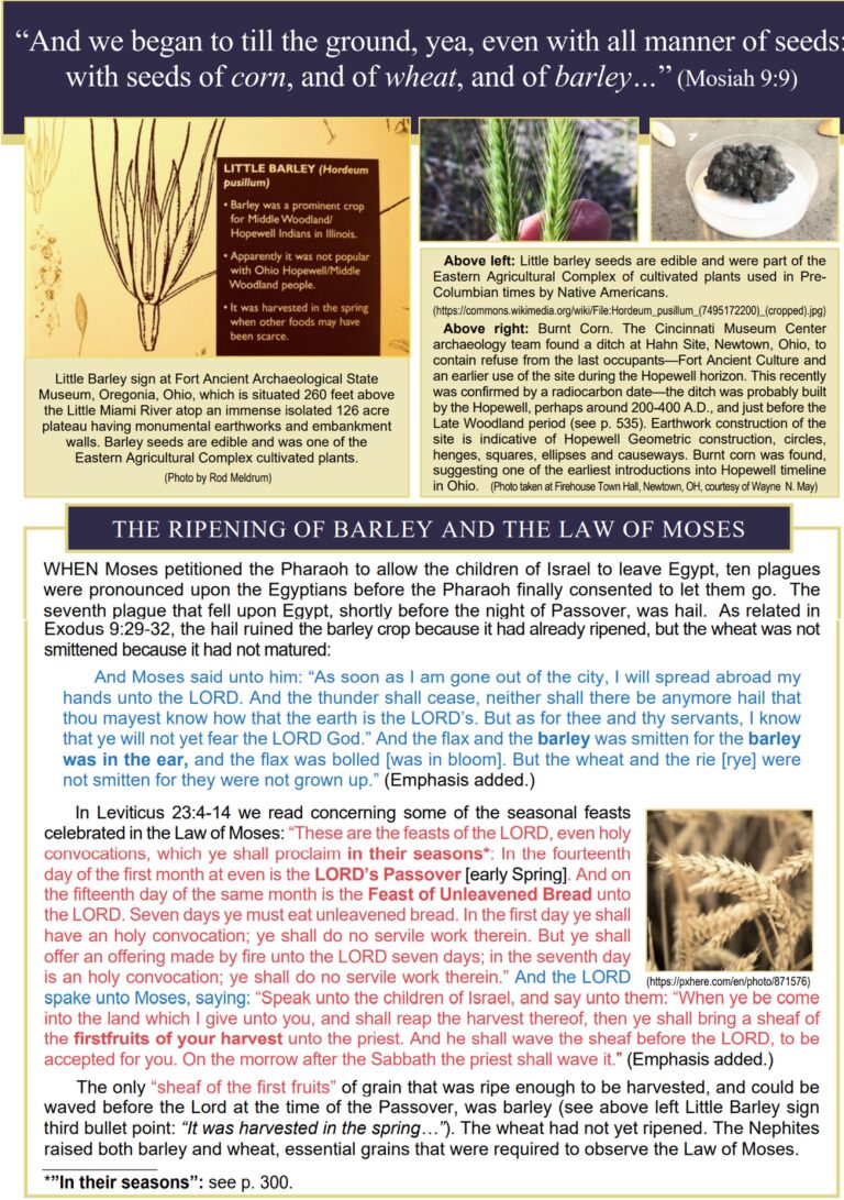 Law of Moses- Not in Mesoamerica!
