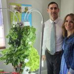 mark and dawn tower garden picture