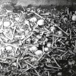 bones