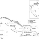 guanin cuba 2